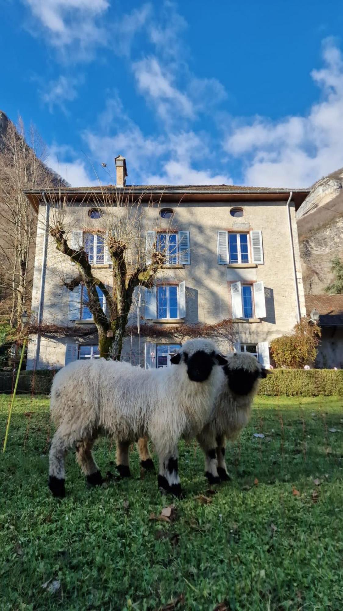 Chateau Monts Blancs Lumbin Bagian luar foto